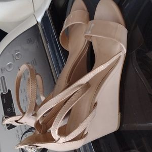 Wedge pumps